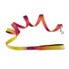 American River Ombre Leash