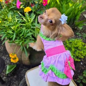 Watermelon Dog Dress. (size: X-Small)